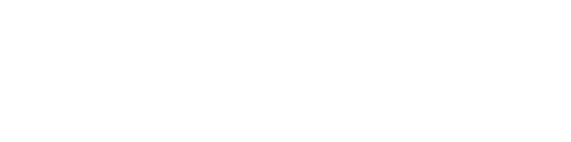 THE FORMULA EXPERIENCE