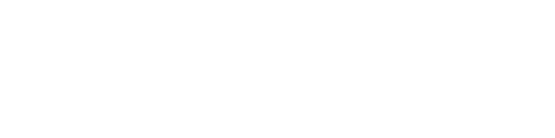 THE FORMULA EXPERIENCE